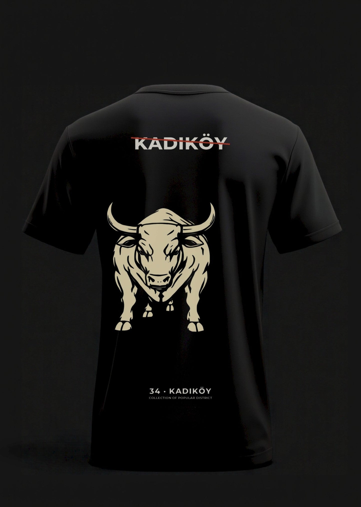 Kadıköy · Oversize T-Shirt
