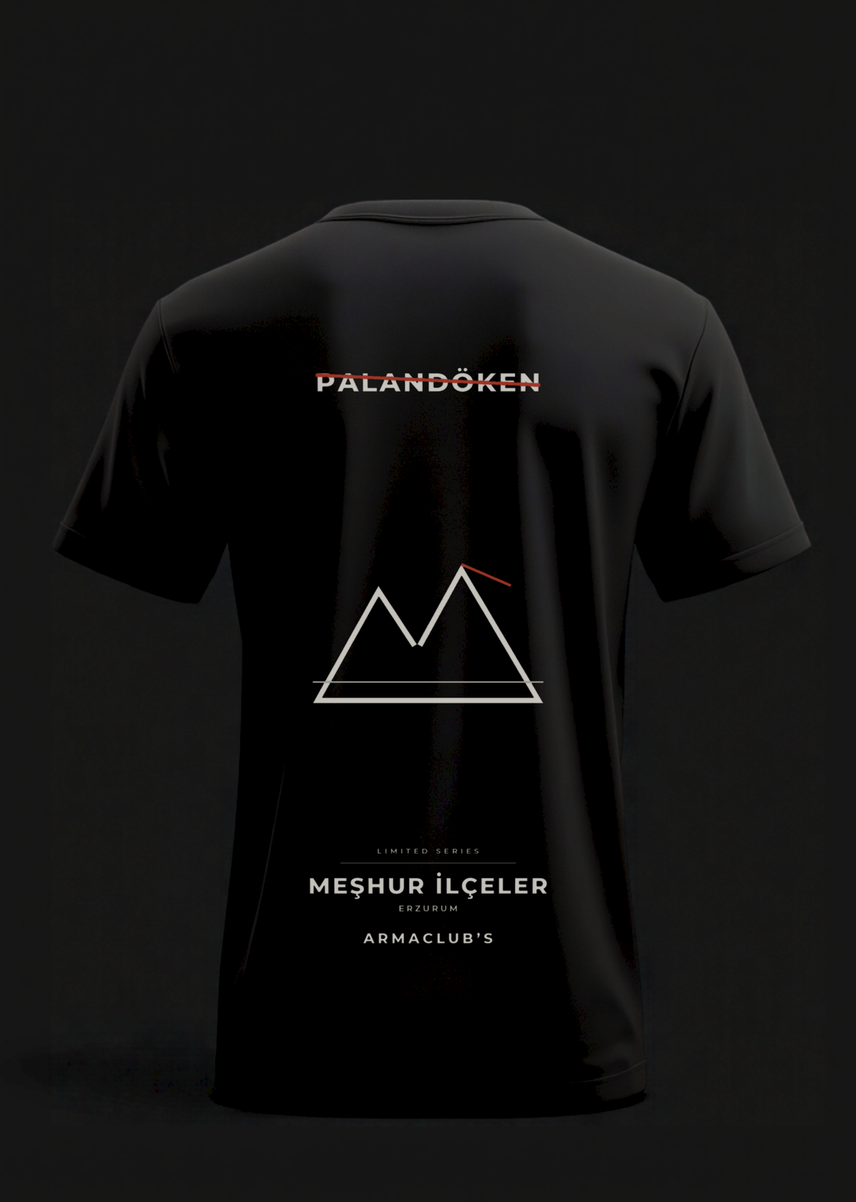 Palandöken · Camiseta Regular